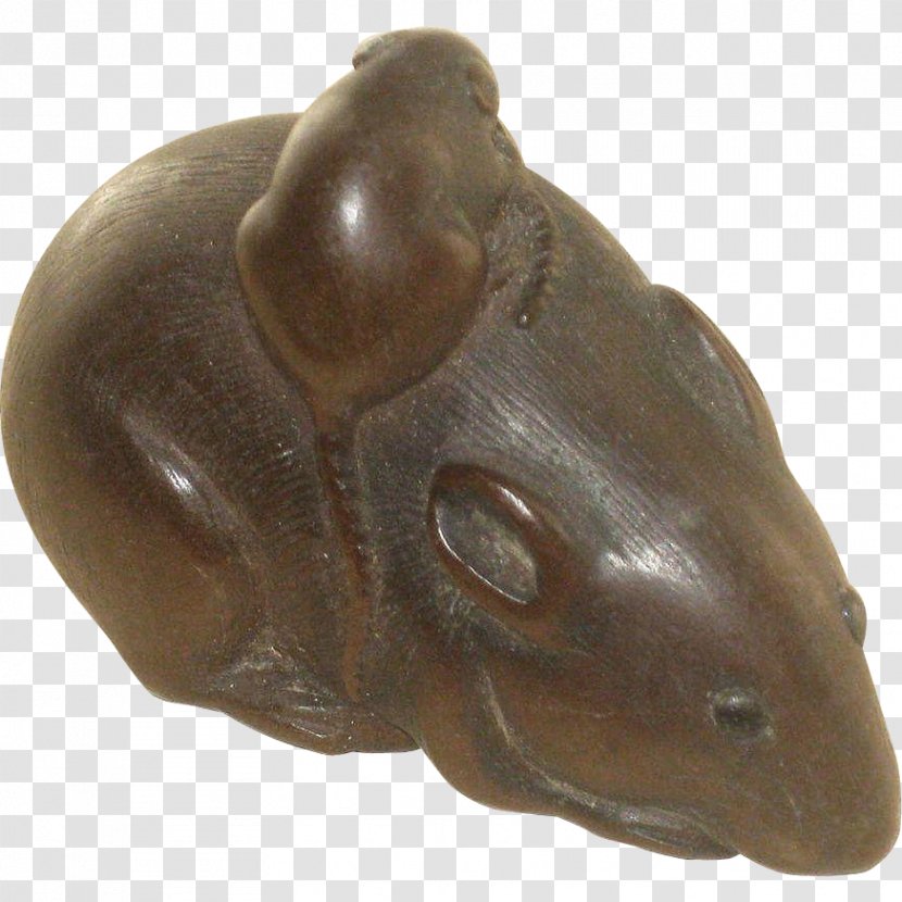 Amphibian Frog Terrestrial Animal Fauna - Rat & Mouse Transparent PNG