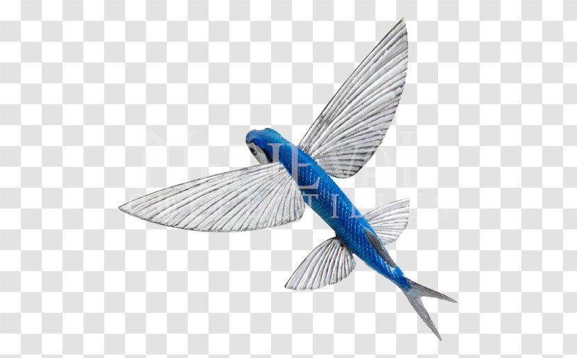 Fish Anatomy Atlantic Flyingfish Animal Figurine Blue Flying - Toy Transparent PNG