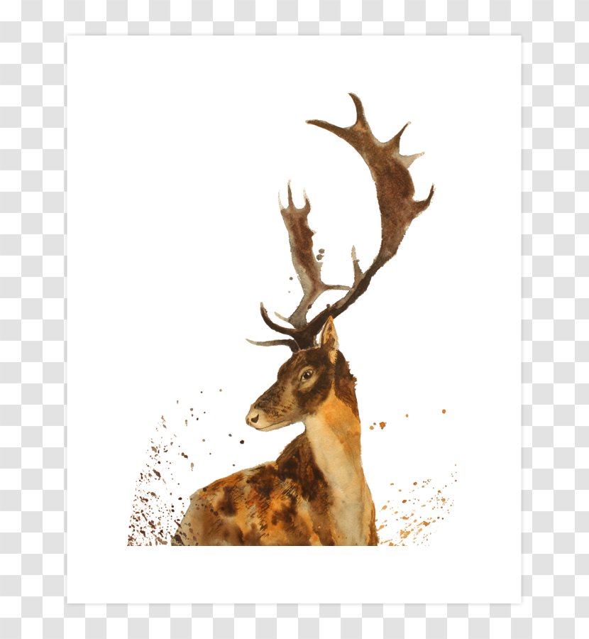 Elk Reindeer Antler Stock Photography - Mammal Transparent PNG