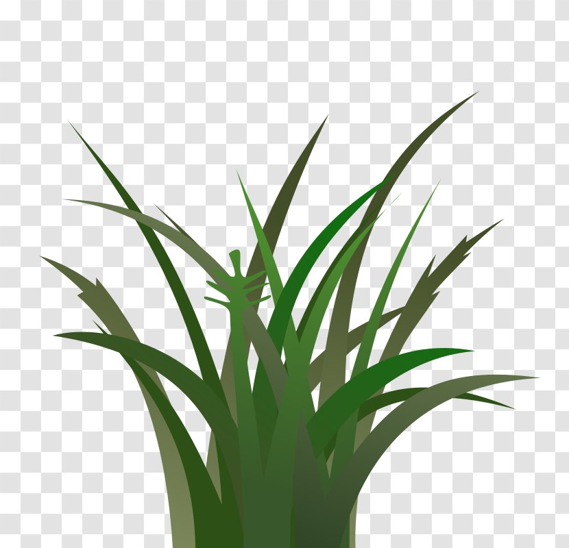 Lawn Cartoon Clip Art - Commodity - Vegetation Cliparts Transparent PNG