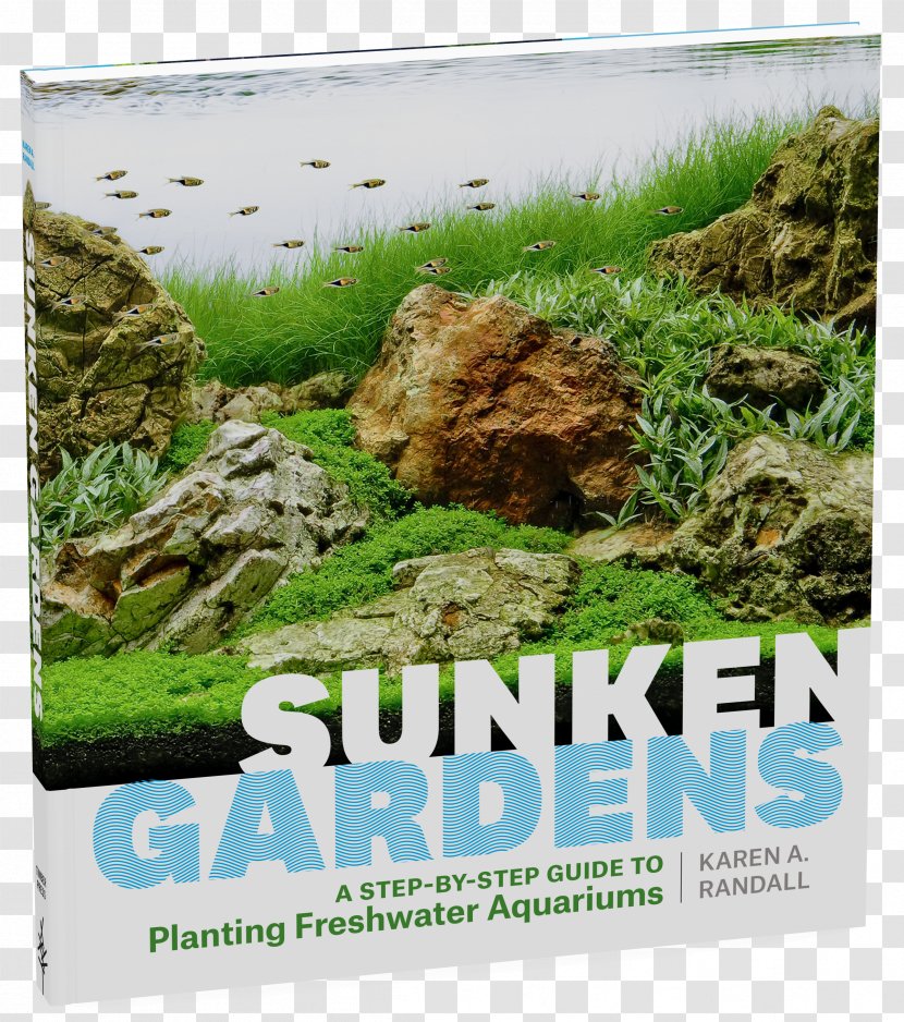 Sunken Gardens: A Step-By-Step Guide To Planting Freshwater Aquariums Encyclopedia Of Aquarium Plants Aquascaping - Garden - Water Transparent PNG