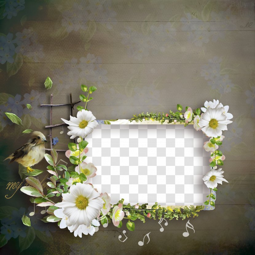 Floral Design Flower - Creative Frame Transparent PNG
