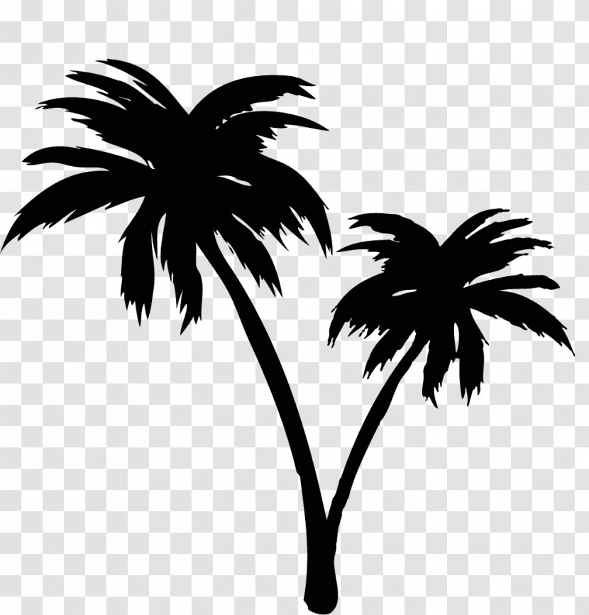 Asian Palmyra Palm Illustrator Arecaceae Iwakuni - Plant - Borassus Transparent PNG