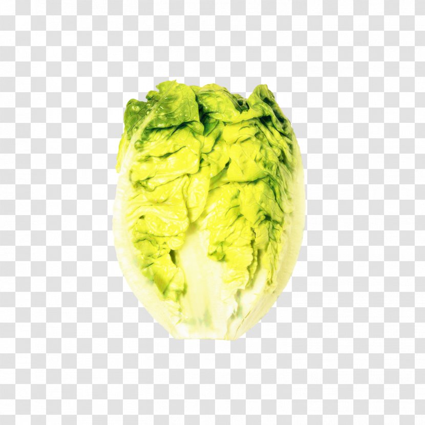 Green Leaf Background - Chinese Cabbage - Savoy Wasabi Transparent PNG