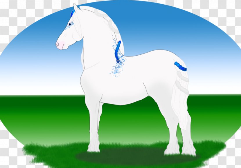 Foal Stallion Mare Mane Mustang - Pony - Aurora Borealis Wallpapers X Transparent PNG