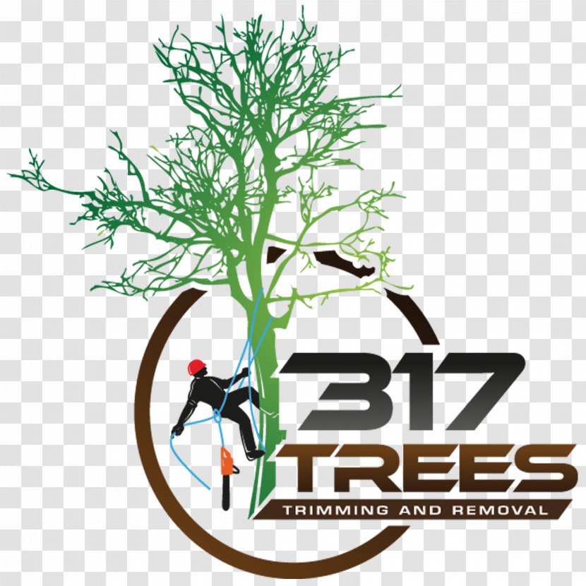 Branch 317 Trees Crane Pruning - Brand - Tree Transparent PNG