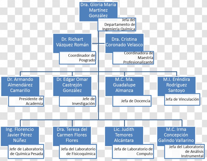 Organizational Chart Chemical Engineering Business Administration - Research - Secretari Transparent PNG