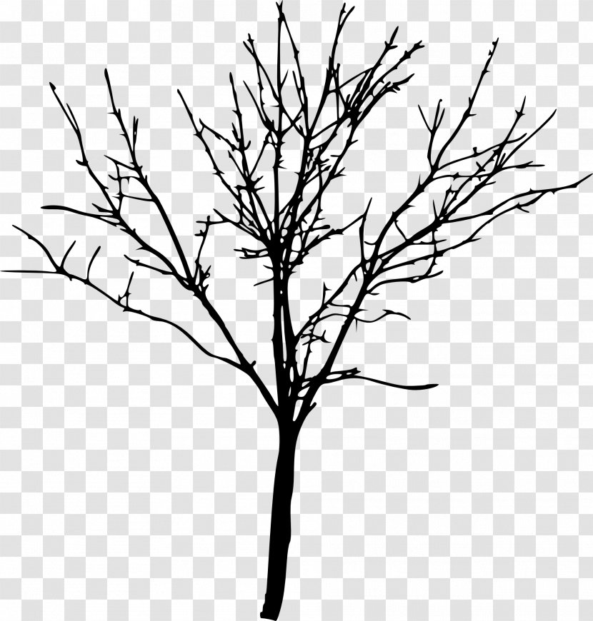 Tree Silhouette Branch Clip Art - Transparent Transparent PNG