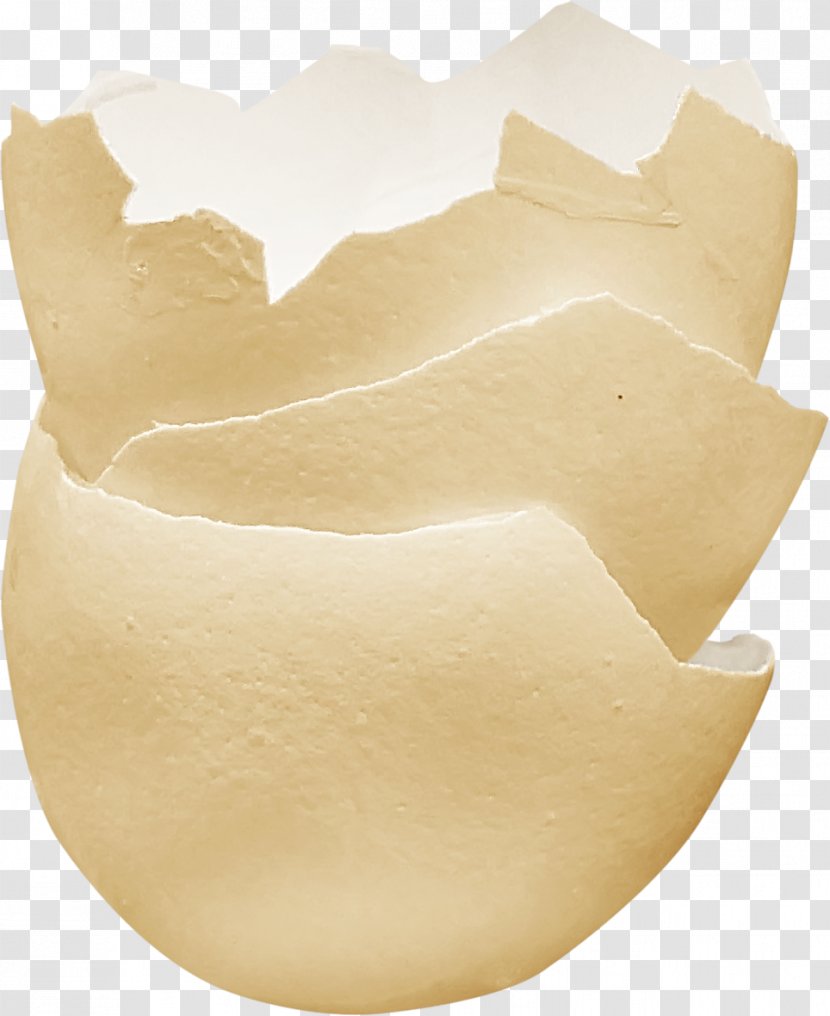 Bird Eggshell - Facade Transparent PNG