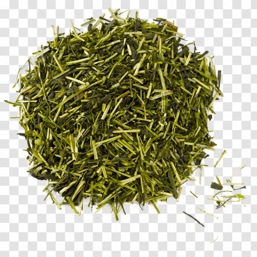 Gyokuro Green Tea Nilgiri Assam - Huangshan Maofeng Transparent PNG