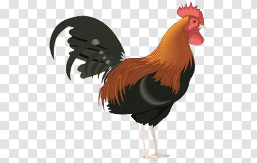 Rooster Clip Art - Document - Chicken Transparent PNG