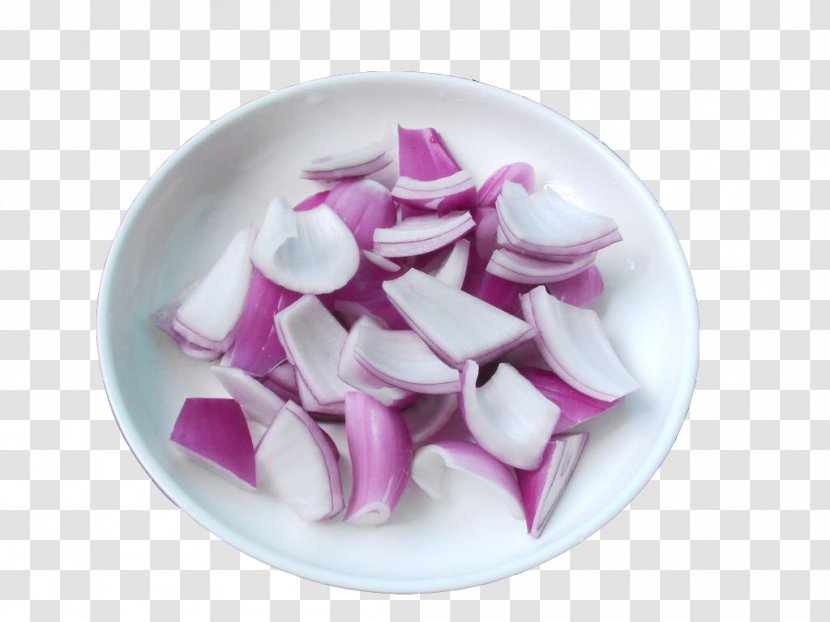 Onion Ear Food Sleep Pain - Purple Transparent PNG