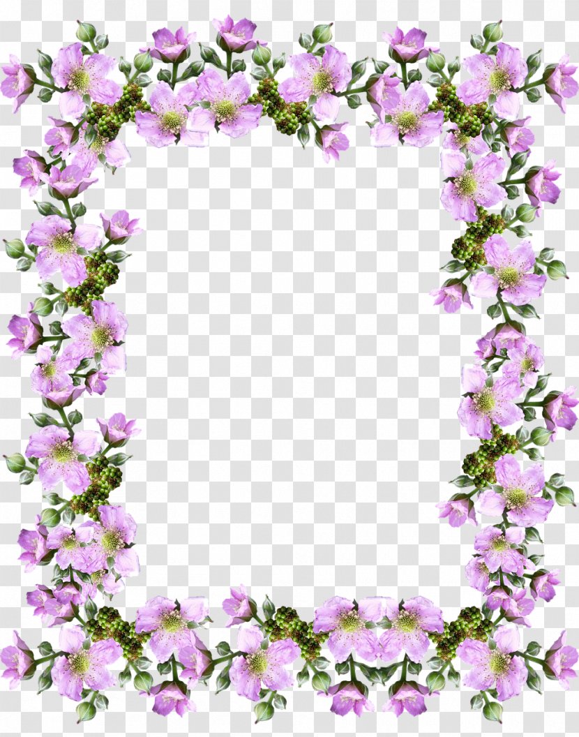 Clip Art Image Free Content Stock.xchng - Public Domain - Blosssom Border Transparent PNG