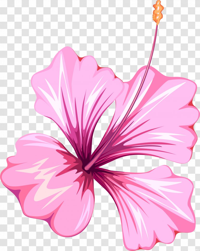 Flower Mallows Clip Art - Pink - 50 Transparent PNG