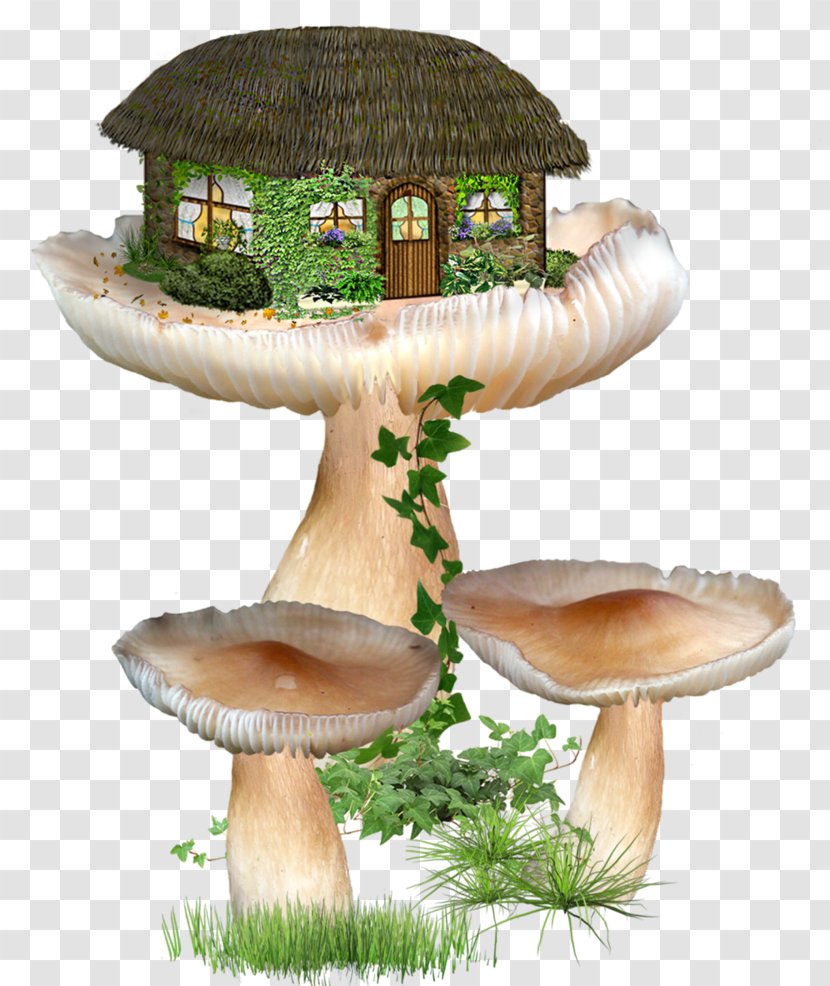Fairy House Image Clip Art - Oyster Mushroom Transparent PNG