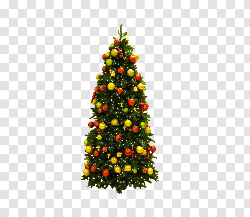 Christmas Tree Ornament Pentecost Lights - Pine Family Transparent PNG