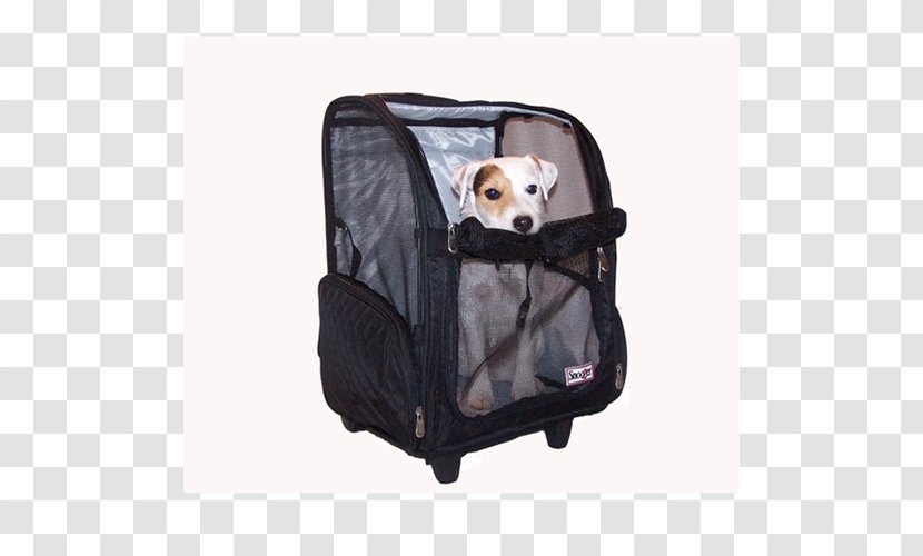 Baby & Toddler Car Seats Snout - Pet Carrier Transparent PNG