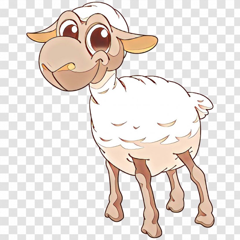 Sheep Clip Art Cattle Goat Snout - Cartoon - Animal Transparent PNG