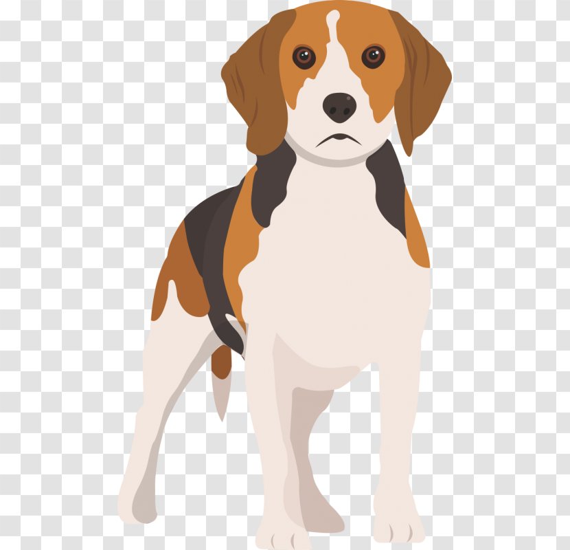 Beagle English Foxhound Harrier American Finnish Hound Transparent PNG