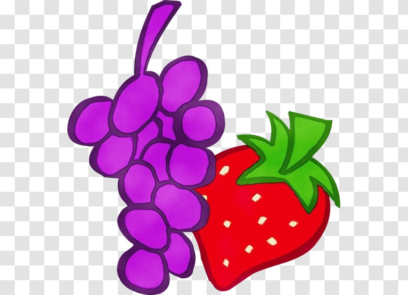 Violet Grape Fruit Clip Art Purple - Magenta - Radish Grapevine Family Transparent PNG