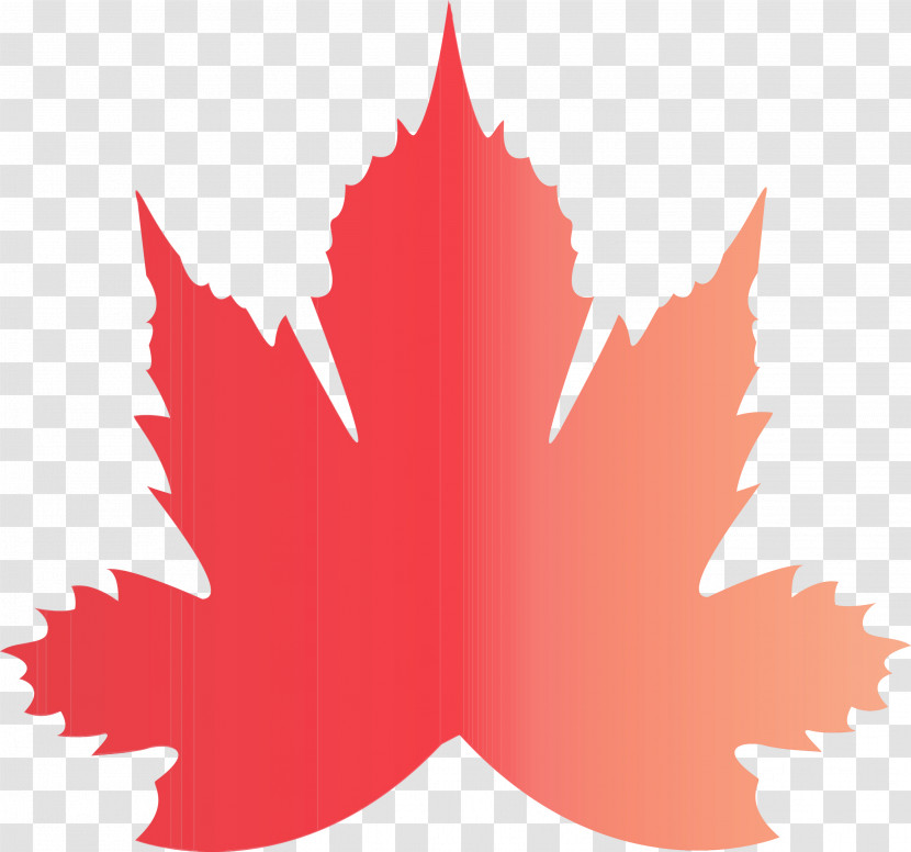 Maple Leaf Transparent PNG