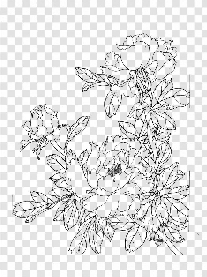 Drawing - Art - Peony Flower Line Transparent PNG