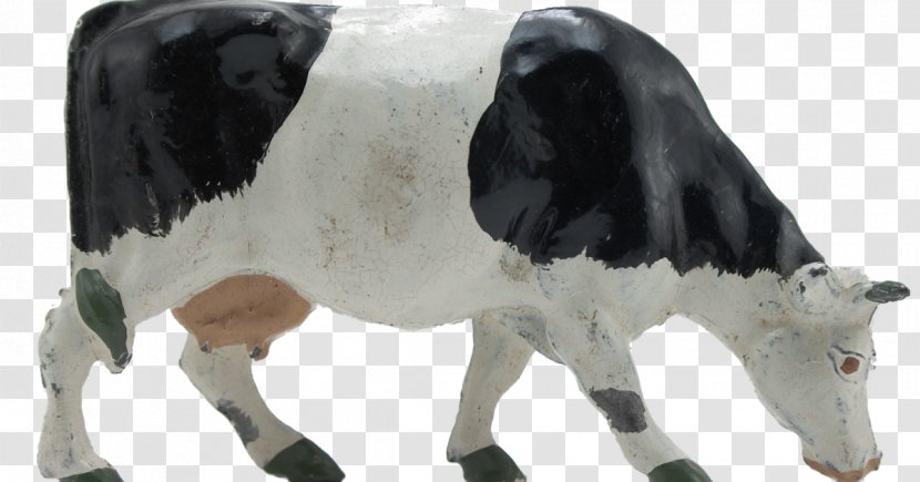 Dairy Cattle Baka Calf Milk Livestock - Snout Transparent PNG