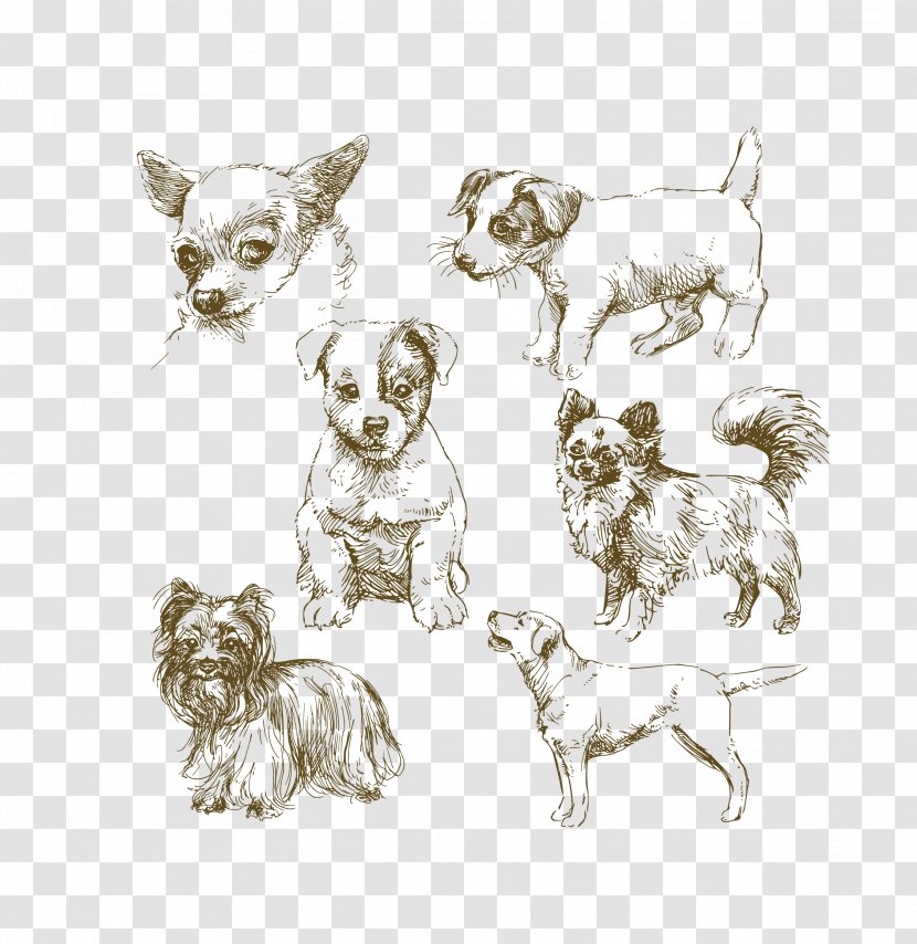 Jack Russell Terrier Puppy Drawing Illustration - Line Art - Vector Simple Pen Black Hand Painted Dog Realistic Transparent PNG