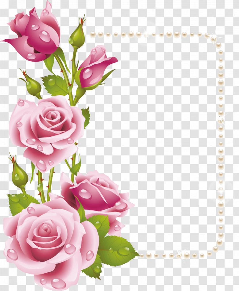 Rose Pink Flower Clip Art - Arranging - Five Transparent PNG