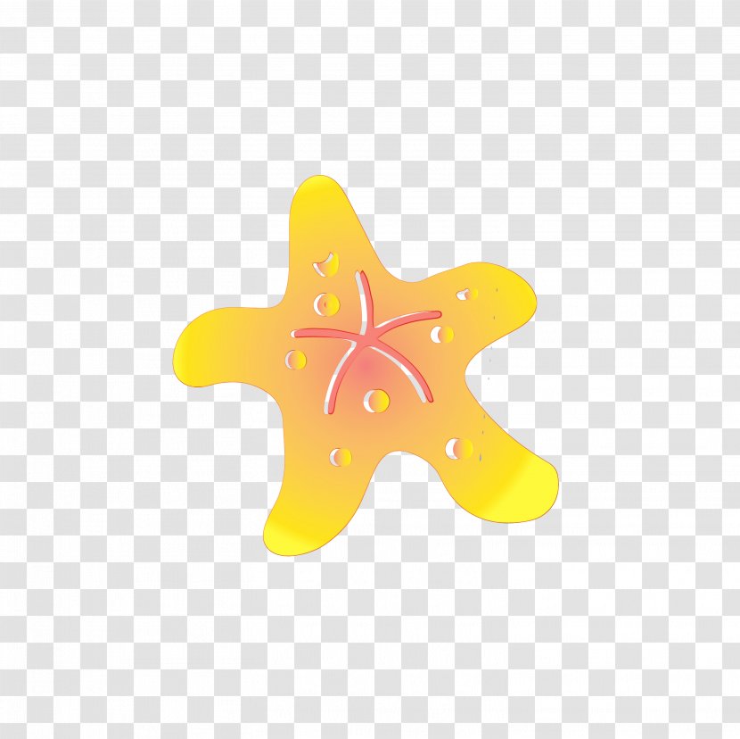 Yellow Star Marine Invertebrates Starfish Transparent PNG
