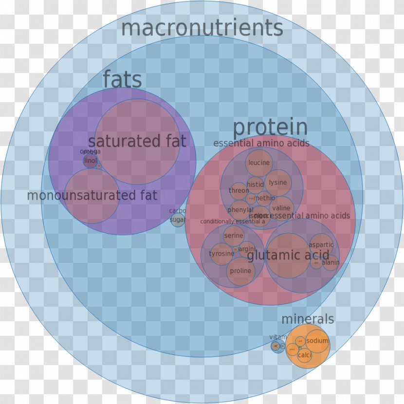Micronutrient Vitamin Mineral Food - A - Gruyere Cheese Transparent PNG