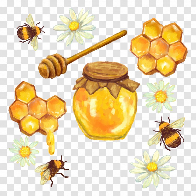 Honeycomb Nectar - Fruit - Vector Honey Cans Transparent PNG