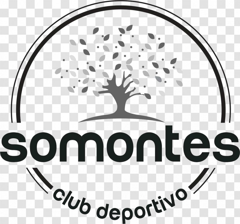 Club Deportivo Somontes Madrid Padel Golf - Tree Transparent PNG