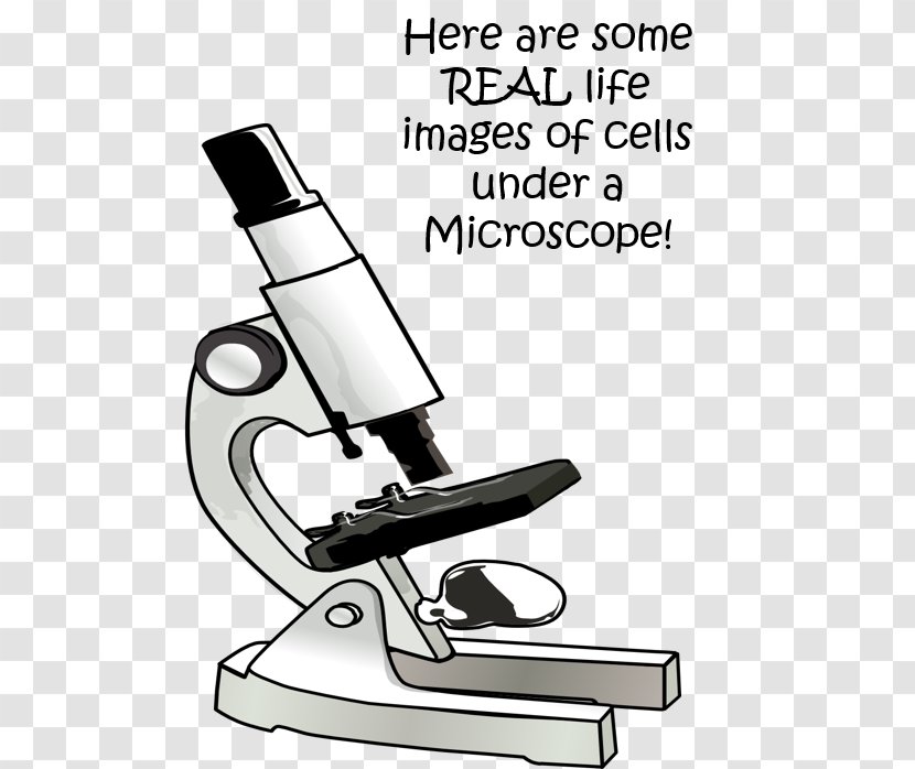 Microscope Laboratory Science Cell Echipament De Laborator - Optical Instrument Transparent PNG