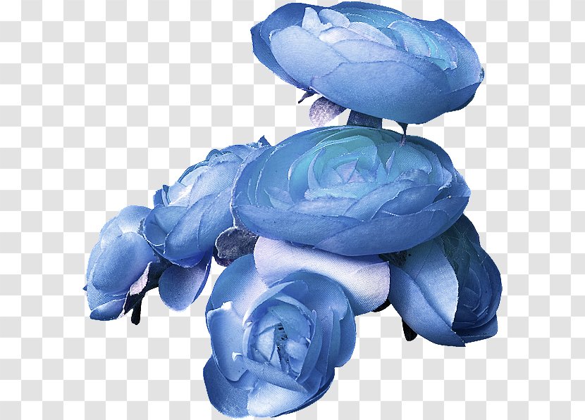Blue Rose Flower - Marine Mammal Transparent PNG