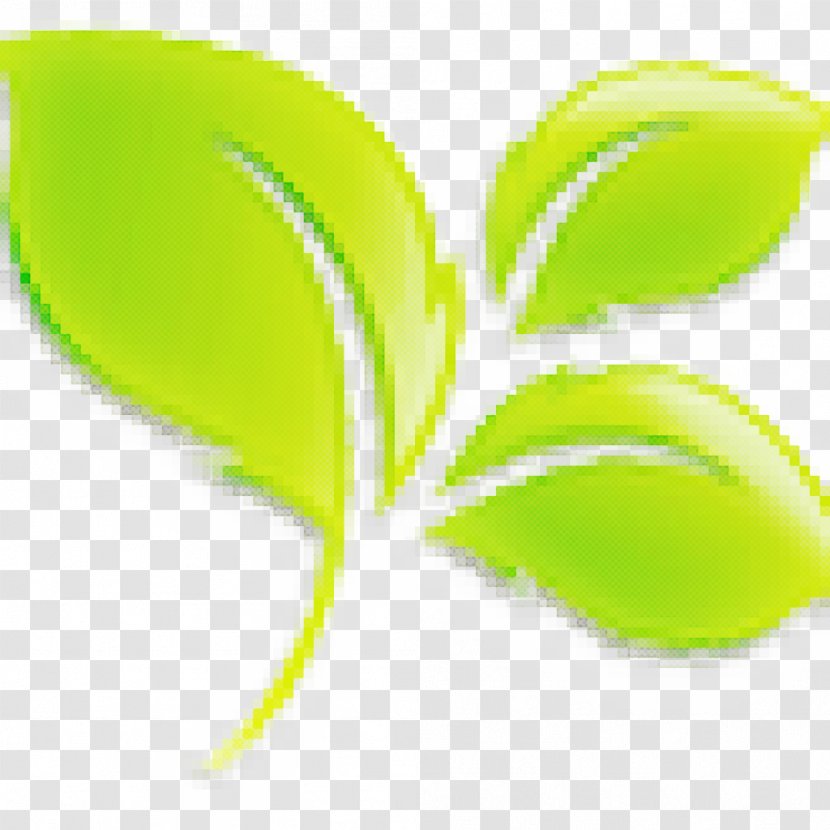 Green Leaf Background - Plant - M Butterfly Transparent PNG