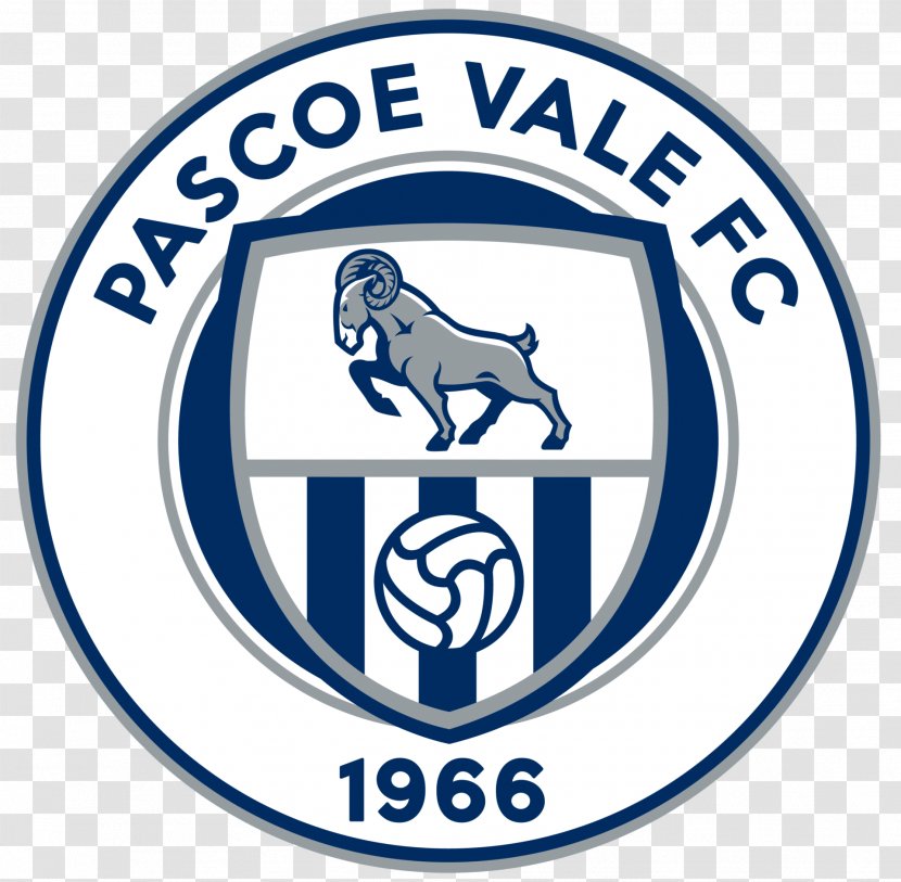 Pascoe Vale FC National Premier Leagues Victoria Bentleigh Greens SC South Melbourne Heidelberg United - Sc - Football Transparent PNG
