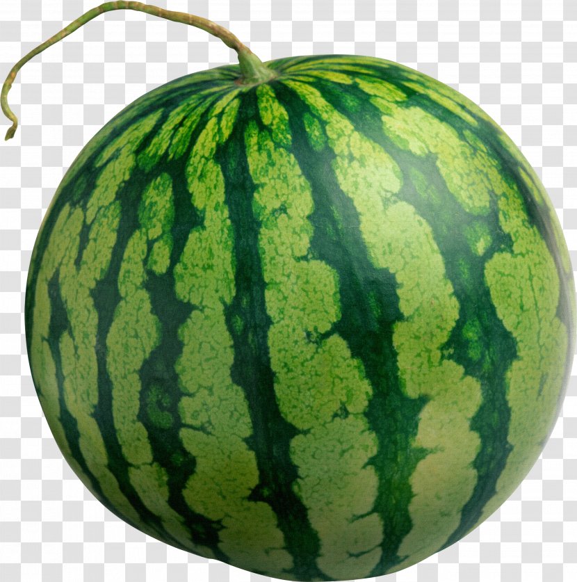 Watermelon Clip Art - Cantaloupe Transparent PNG