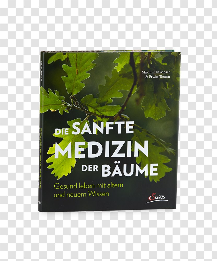 Die Sanfte Medizin Der Bäume The Hidden Life Of Trees: What They Feel, How Communicate—Discoveries From A Secret World Medicine Vom Richtigen Umgang Mit Zeit: Heilende Kraft Chronobiologie - Brand - Tree Transparent PNG