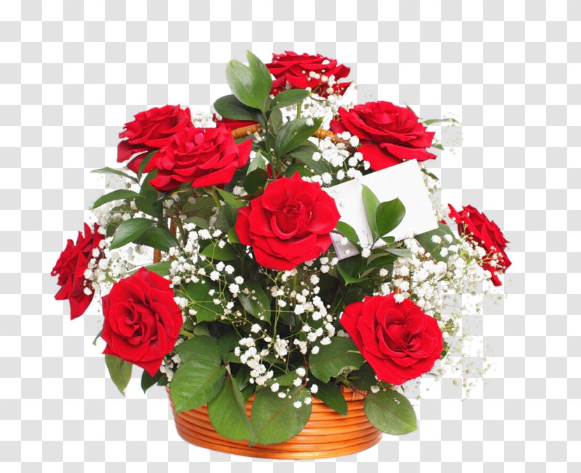 Flower Bouquet Garden Roses Baby's-breath - Rose - Shah Rukh Khan Transparent PNG