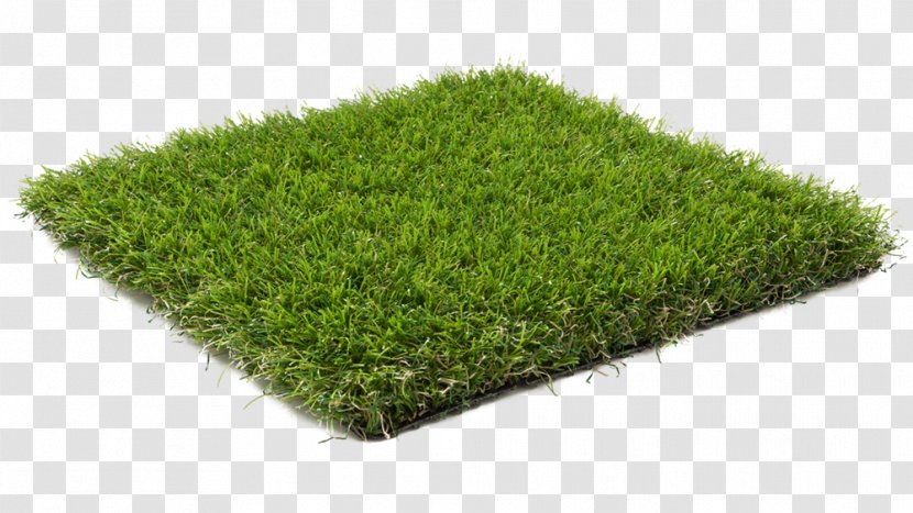 Lawn Artificial Turf Terrace Garden Carpet - Plant - Lush Grass Transparent PNG