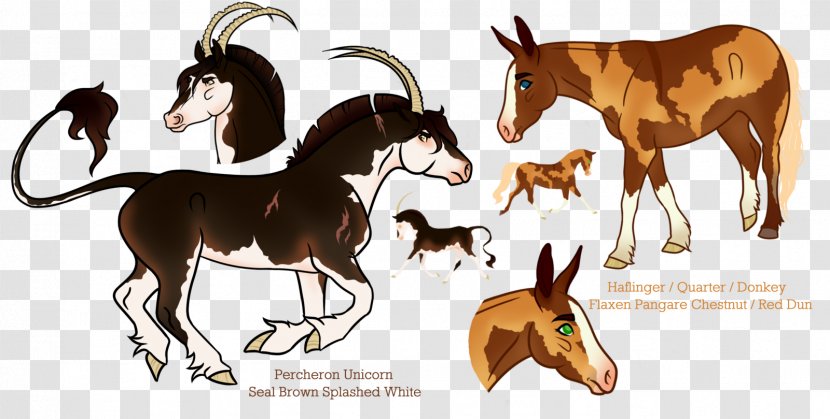Mustang Foal Colt Stallion Mare - Rein - Sale Three-dimensional Characters Transparent PNG