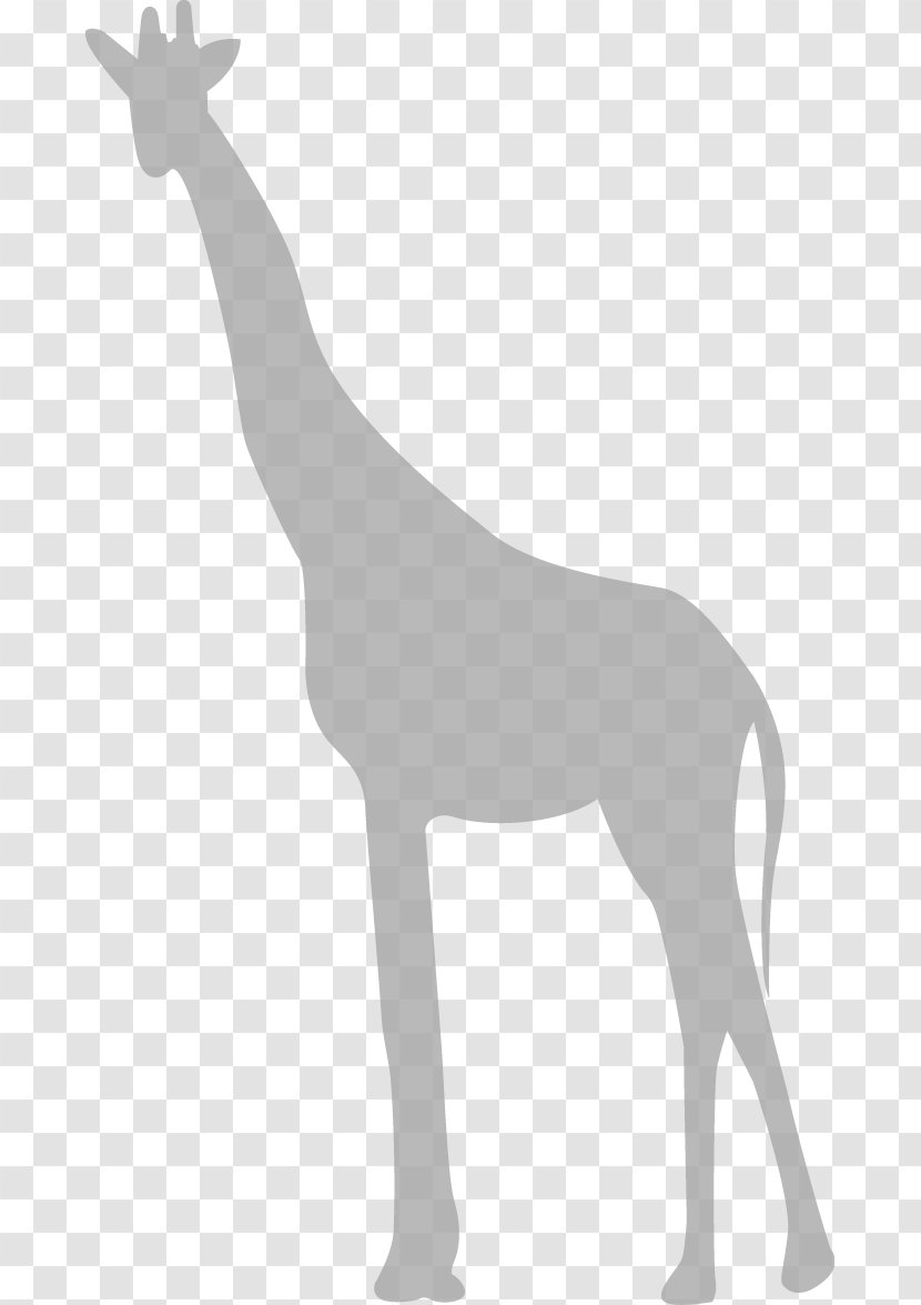 Giraffe Clip Art - Monochrome Transparent PNG