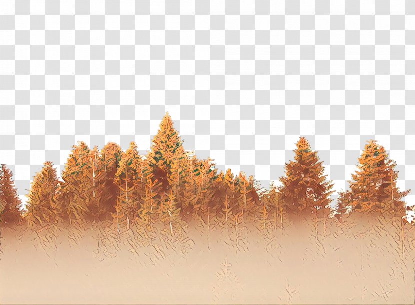 Cartoon Nature Background - Pine - Larch Transparent PNG