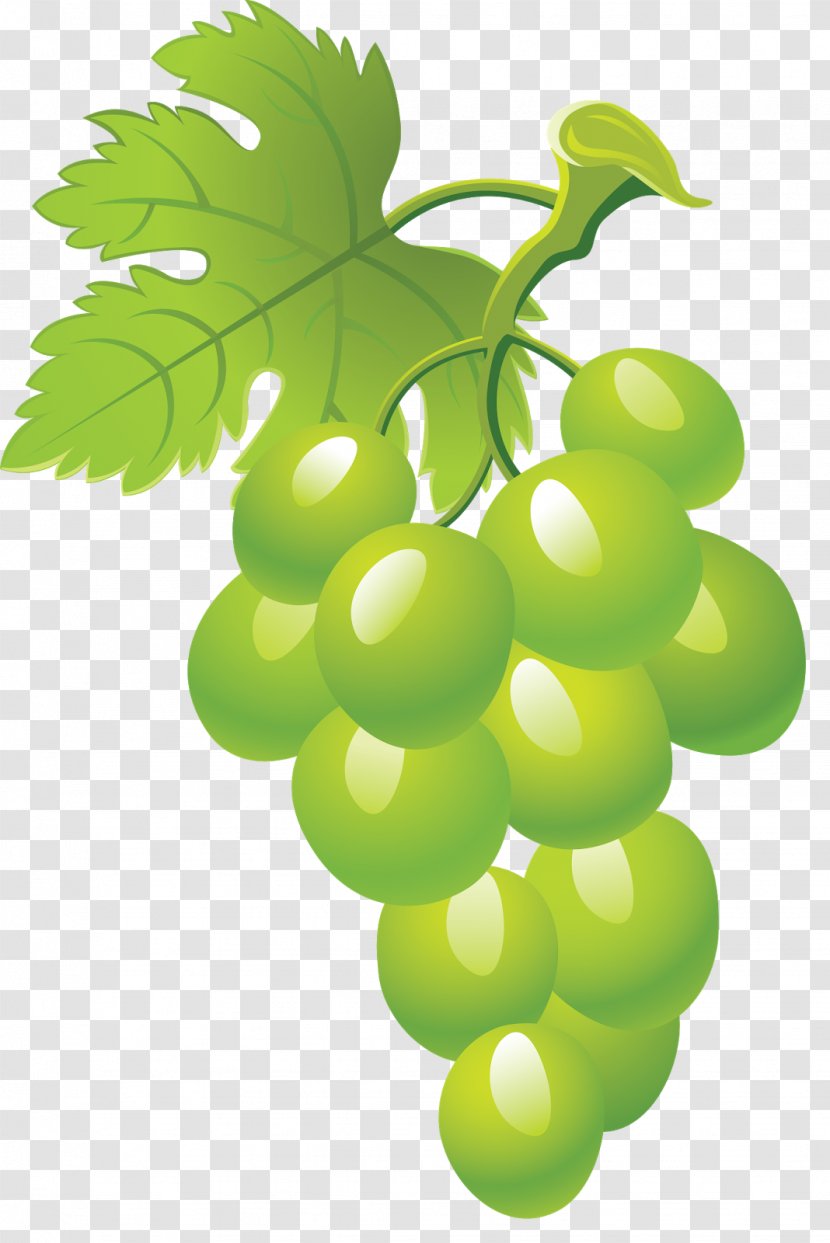 Juice Fruit Grape Clip Art - Plant Transparent PNG