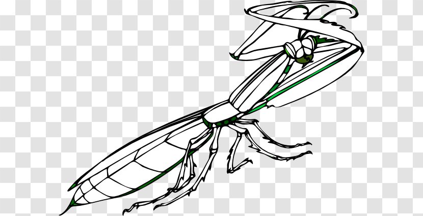 Insect Mantis Free Content Clip Art - Area - Cliparts Transparent PNG