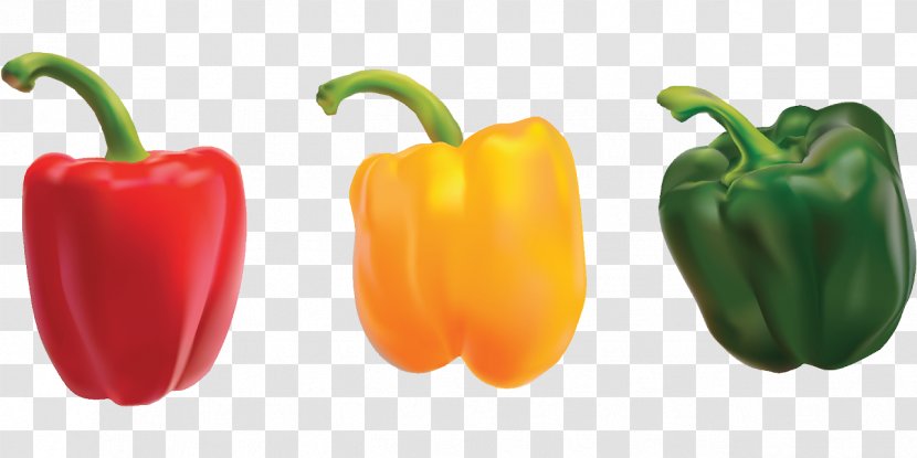Bell Pepper Chili Vegetable Food Clip Art - Green Transparent PNG