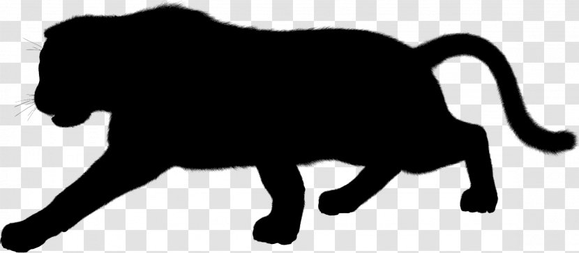 Leopard Black Panther Cat Jaguar Felidae - Mammal Transparent PNG