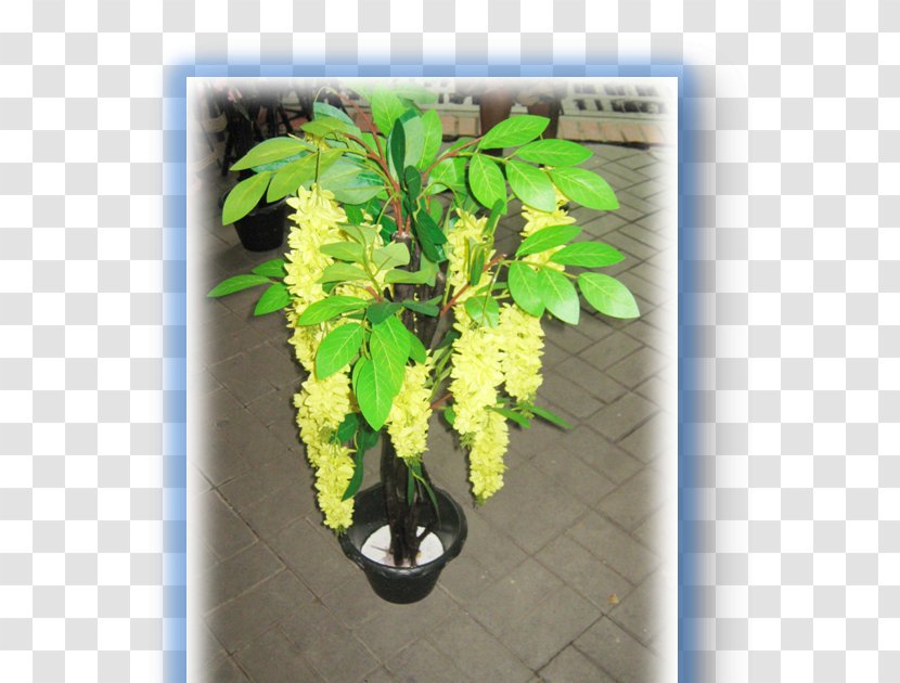 Flowerpot Artificial Flower Discounts And Allowances Invention - June - Flowwer Transparent PNG