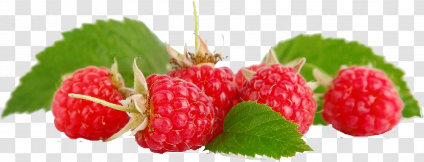 Raspberry Fruit Food Loganberry Transparent PNG